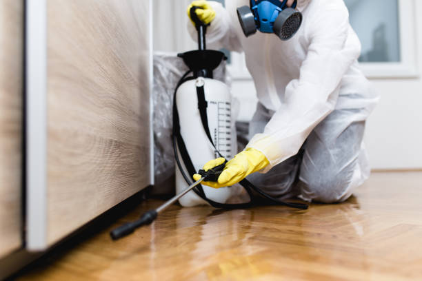 Best Ant Control Services  in Pigeon, MI