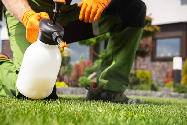 Trusted Pigeon, MI Pest Control Experts