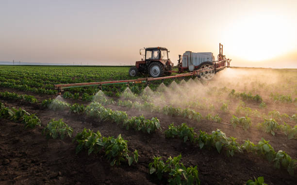 Best Pest Prevention Services  in Pigeon, MI
