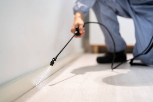 Best Residential Pest Control  in Pigeon, MI