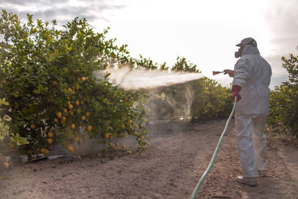 Best Insect Control  in Pigeon, MI