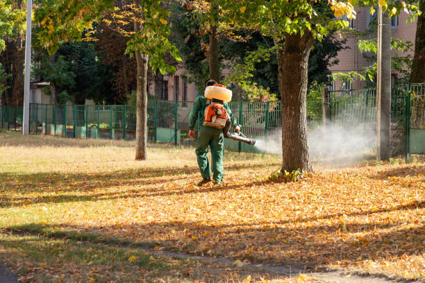 Best Wasp Removal Services  in Pigeon, MI