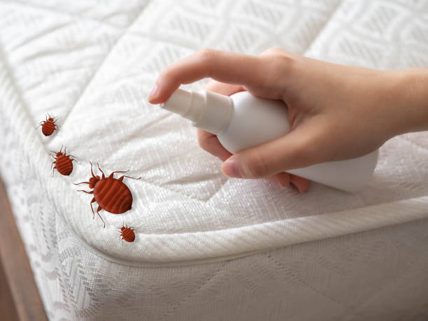 Best Local Pest Control Services  in Pigeon, MI