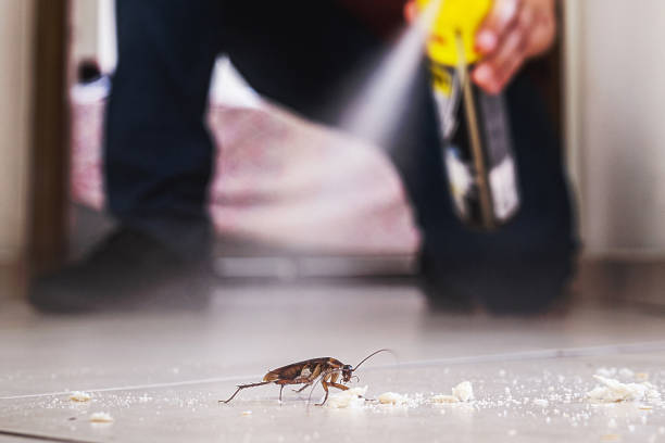 Best Emergency Pest Control  in Pigeon, MI