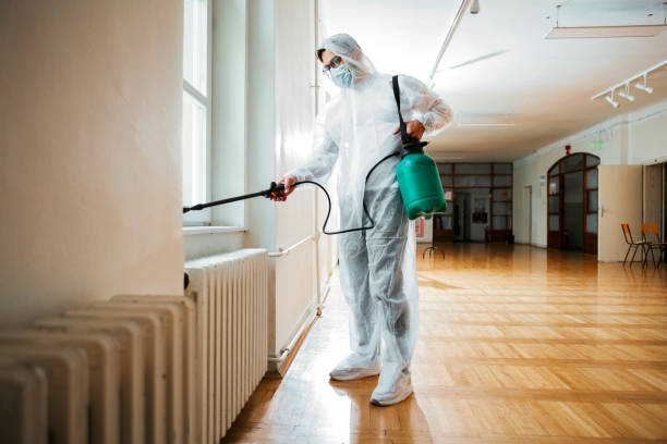 Best Termite Control Services  in Pigeon, MI